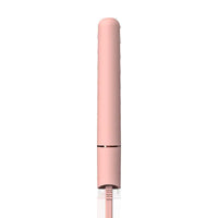 2025 Mini StyleSwitch Hair Tool